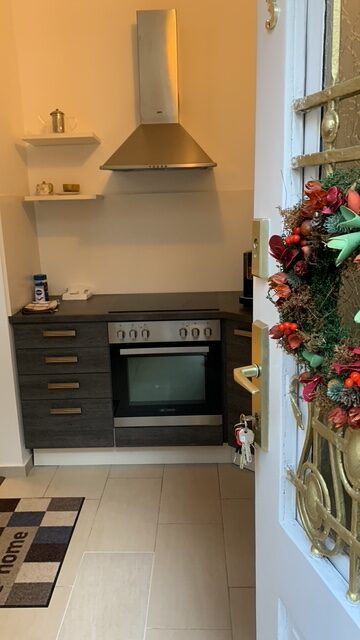 Apartment_Tulip_kitchen