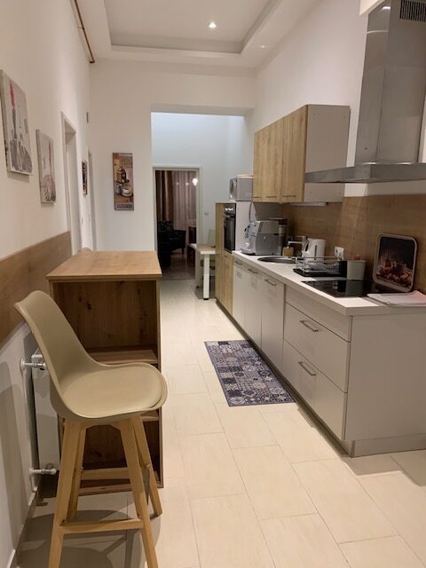 Apartment_Orchid_kitchen3