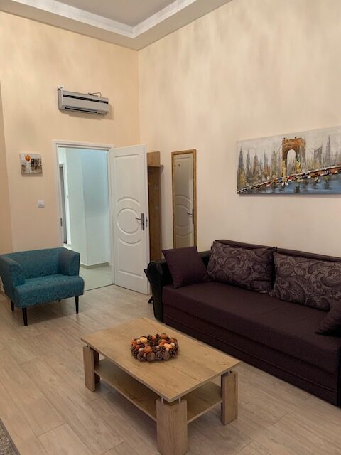 Apartment_Orchid_sofa2