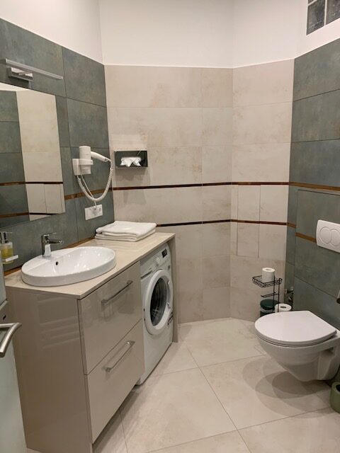 BirdintheWire_bathroom7