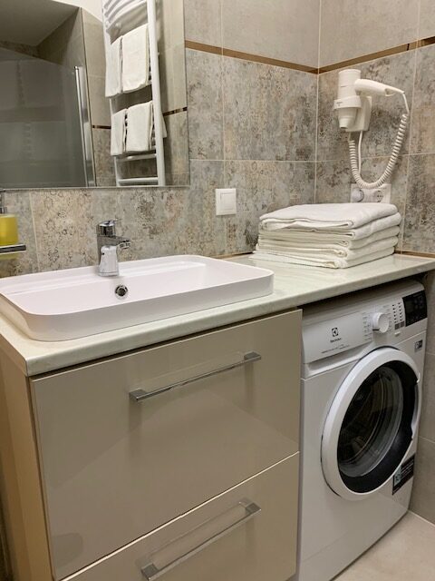 BirdintheWire_bathroom2